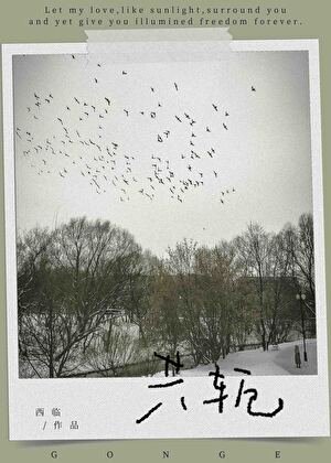 《共轭》