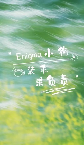 《Enigma装乖小狗求负责》