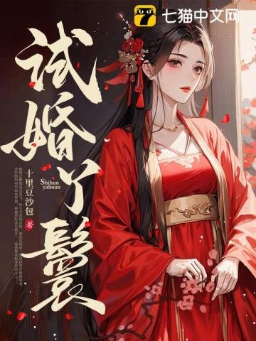 《试婚丫鬟》