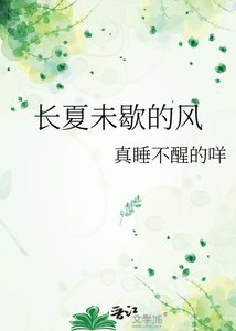 《长夏未歇的风》