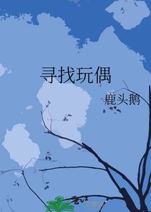 《寻找玩偶》