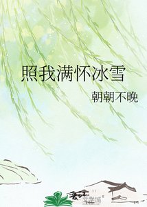《照我满怀冰雪》