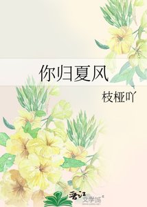 《你归夏风》
