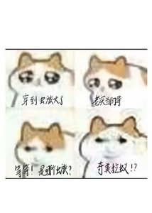 《穿到虫族文,但是奇美拉蚁版》
