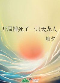 《( 海贼王同人)开局捶死了一只天龙人》