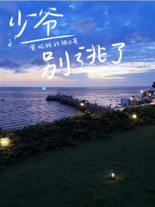 《少爷,别逃了》
