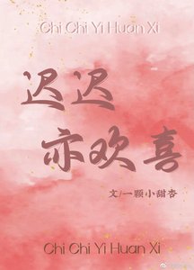 《迟迟亦欢喜》