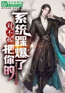 《对不起,把你的系统踩爆了》