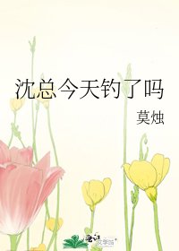 《沈总今天钓了吗》