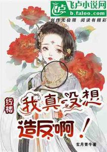 《红楼:我真没想造反啊》
