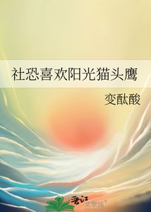 《(排球少年同人)社恐喜欢阳光猫头鹰》