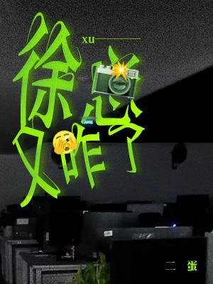 徐总又咋了