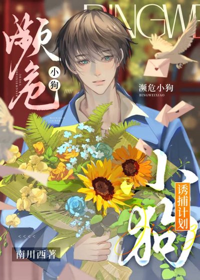《濒危小狗诱捕计划》