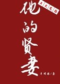 《他的贤妻》