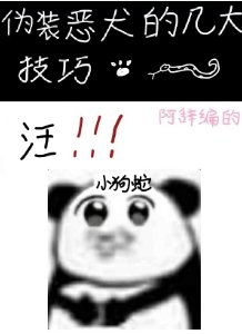 《伪装恶犬的几大技巧》
