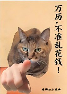 《万历的绝色小会计》
