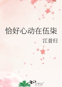 《恰好心动在伍柒》