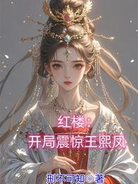 《红楼:开局震惊王熙凤》