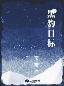 《黑豹目标》