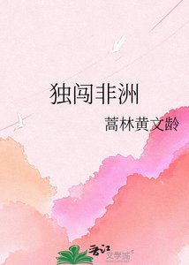 《独闯非洲》