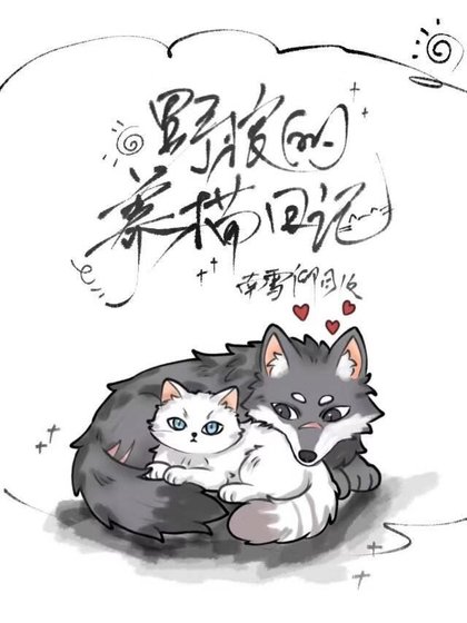 《野狼的养猫日记》