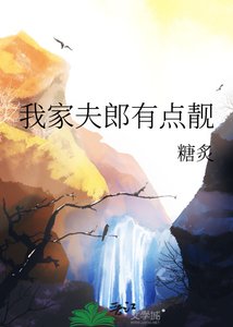 《我家夫郎有点靓》