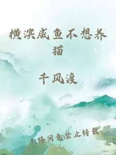 （综漫同人）横滨咸鱼不想养猫