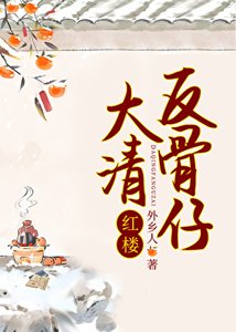 《(红楼同人)大清反骨仔》