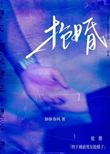 《终于被前男友抢婚了》