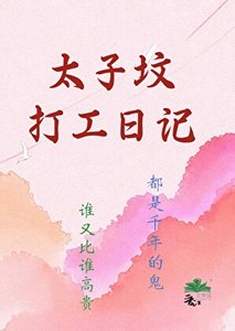 《太子坟打工日记》