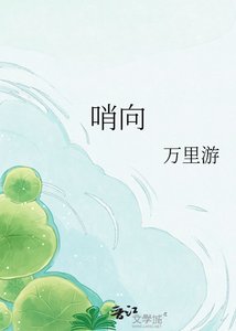 《哨向》