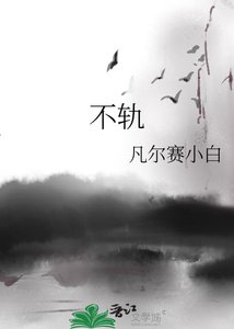 《不轨》