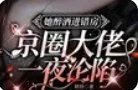 《她自救进错房,京圈大佬一夜沦陷》