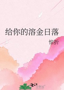《给你的溶金日落》