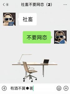 《社畜不要网恋》
