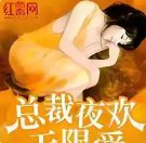 《总裁宠妻无限爱》