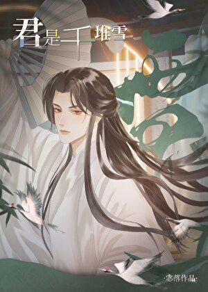 《君是千堆雪》
