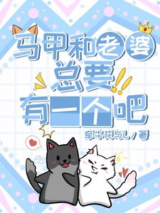 《马甲和老婆总要有一个吧》