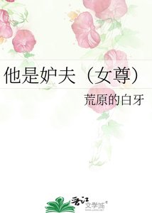 《他是妒夫(女尊)》