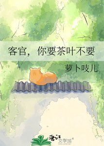 《客官,你要茶叶不要》