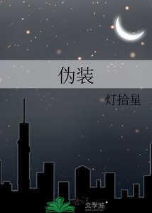 《伪装》