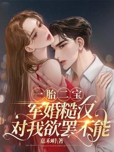 一胎二宝，军婚糙汉对我欲罢不能