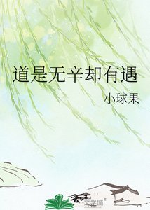 《道是无辛却有遇》
