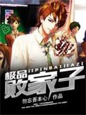 《极品败家子》