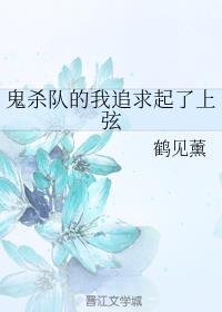 （鬼灭之刃同人）鬼杀队的我追求起了上弦