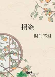 《拐瓷》
