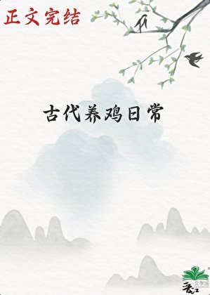 古代养鸡日常