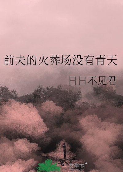 《前夫的火葬场没有青天》