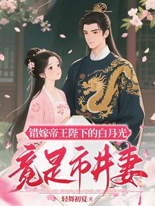 《错嫁帝王陛下的白月光竟是市井妻》