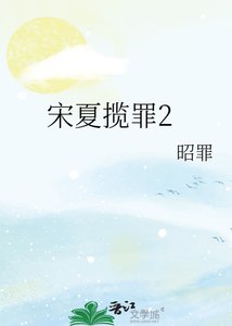 《宋夏揽罪2》